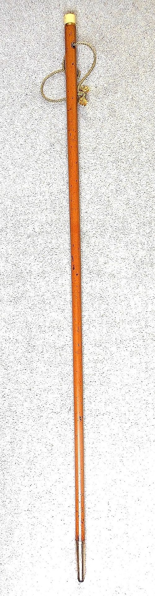 Edwardian Malacca Walking Cane