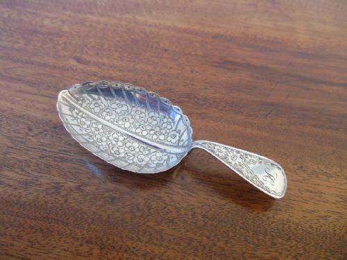 Silver Caddy Spoon