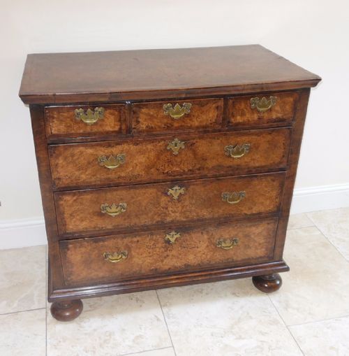 Georgian Burr Walnut Chest of Drawers