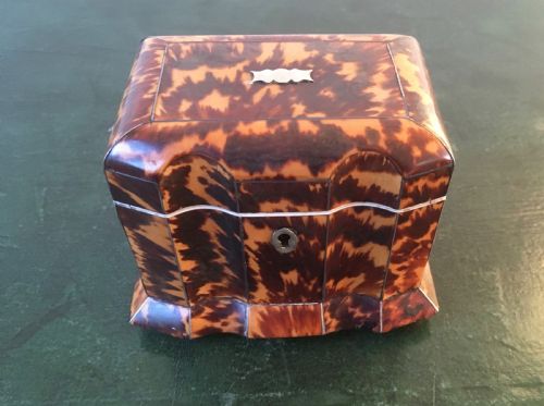 Regency Tortoiseshell & Ivory Tea Caddy