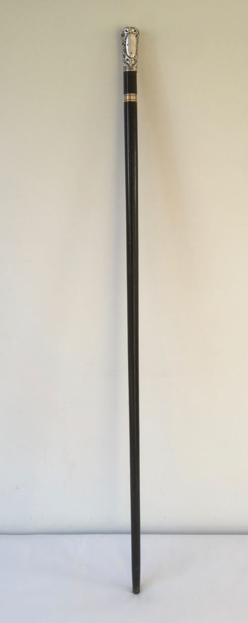 fig 1. Silver Repousse Handled Sword Stick