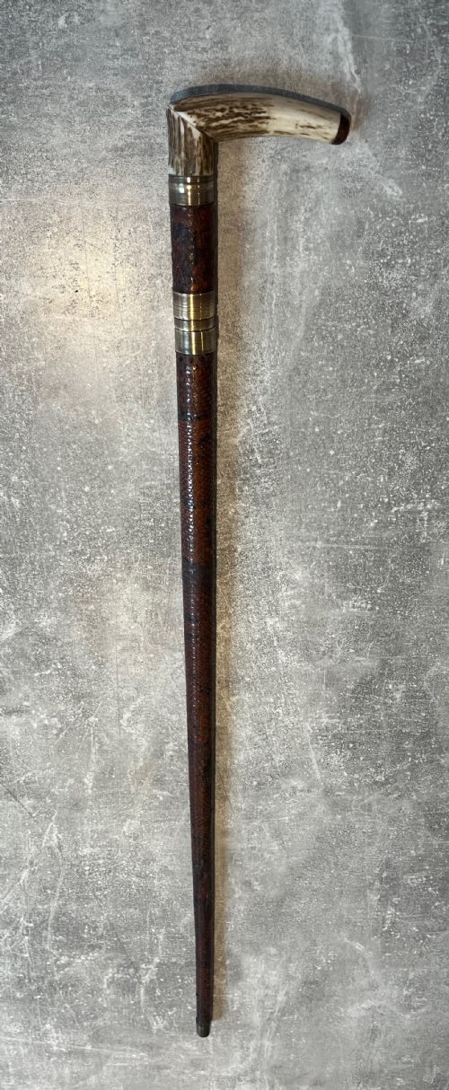 FRENCH SWORD STICK ANTLER HANDLE HAFT COVERED IN SNAKESKIN - ADDITIONAL PHOTO 1