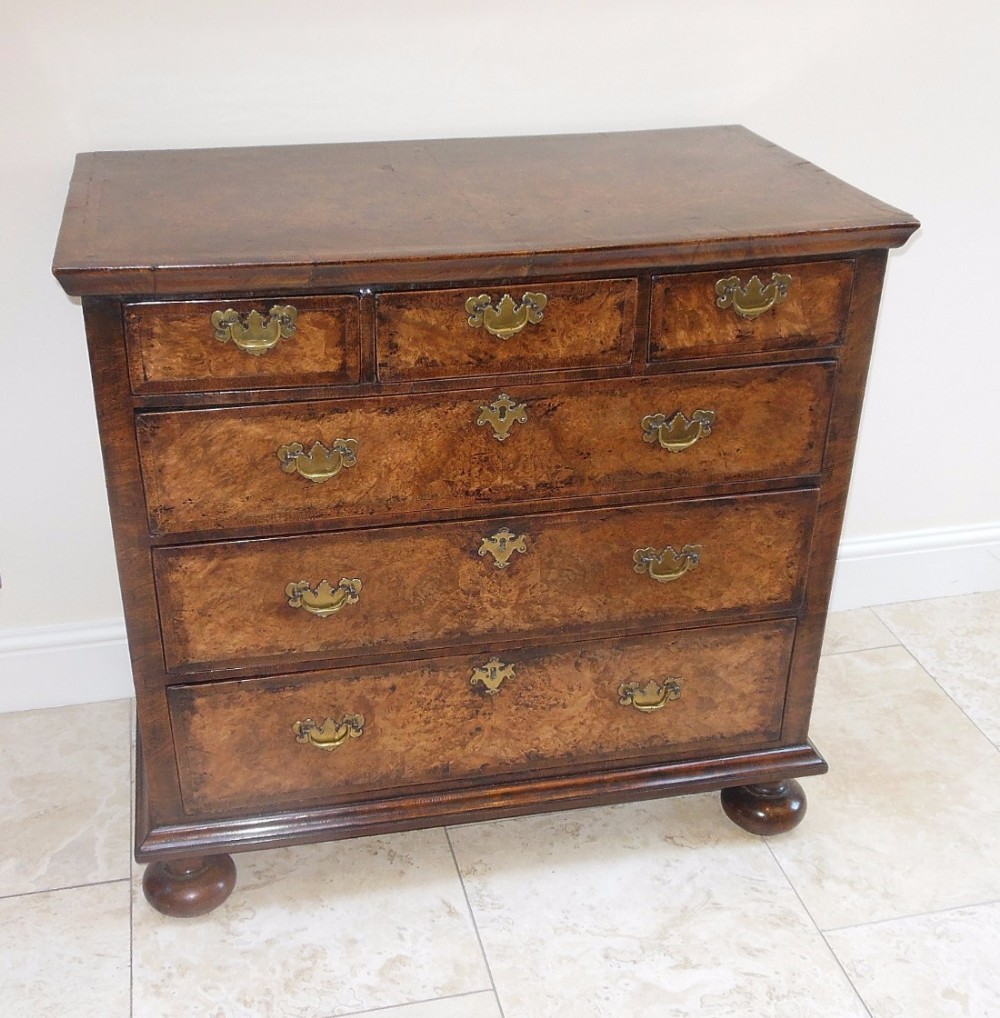 Georgian Burr Walnut Chest of Drawers