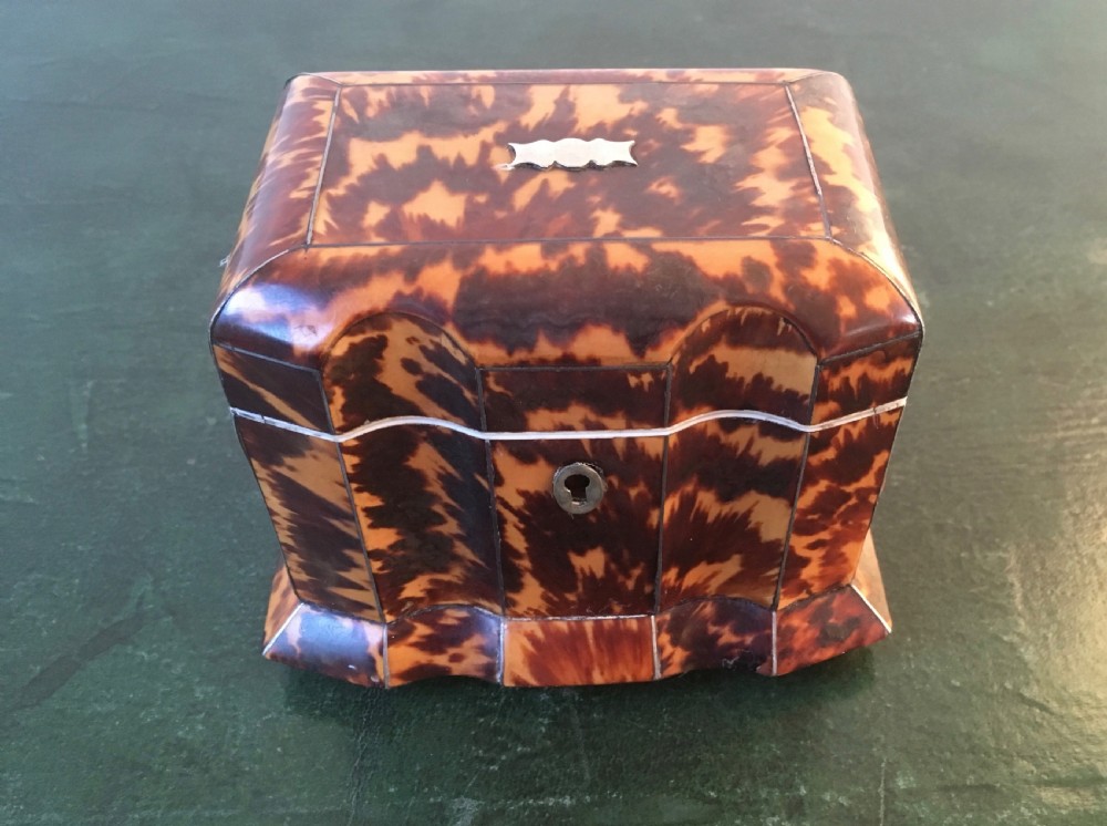 Regency Tortoiseshell & Ivory Tea Caddy