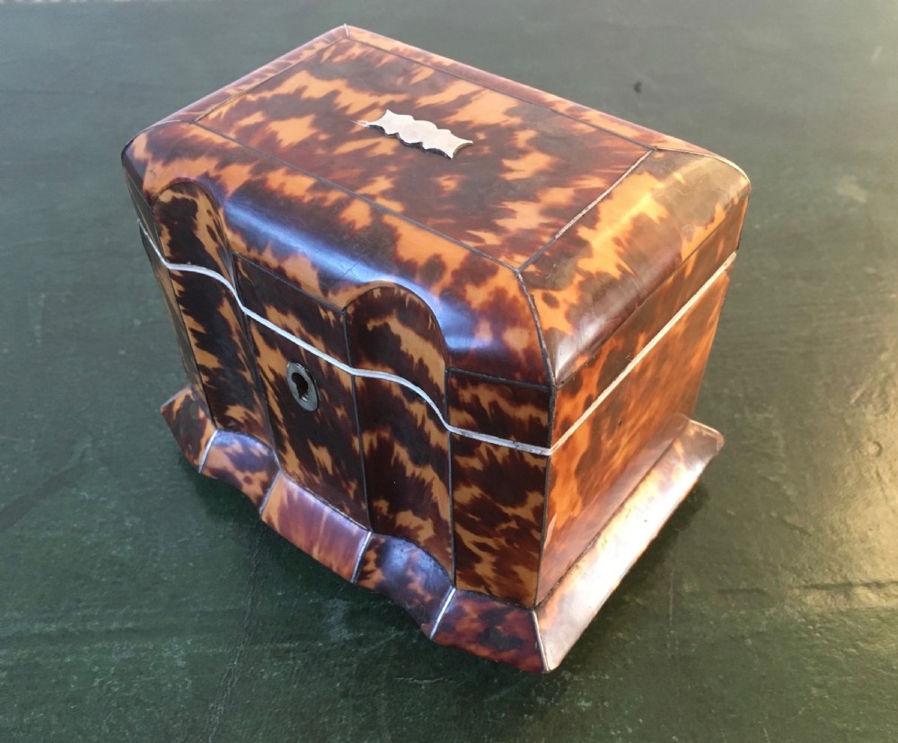 Regency Tortoiseshell & Ivory Tea Caddy View II