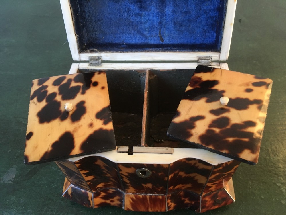 Regency Tortoiseshell & Ivory Tea Caddy View IV