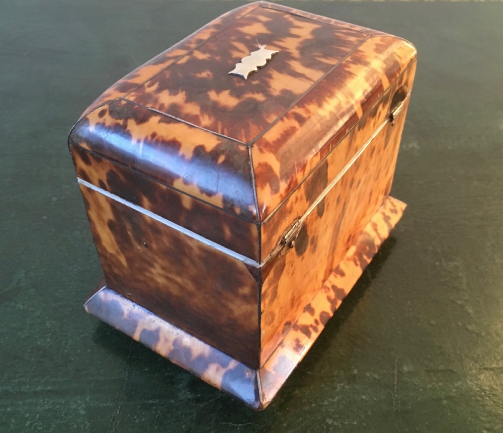 Regency Tortoiseshell & Ivory Tea Caddy View V