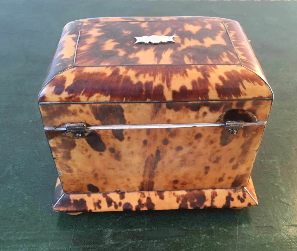 Regency Tortoiseshell & Ivory Tea Caddy View VI