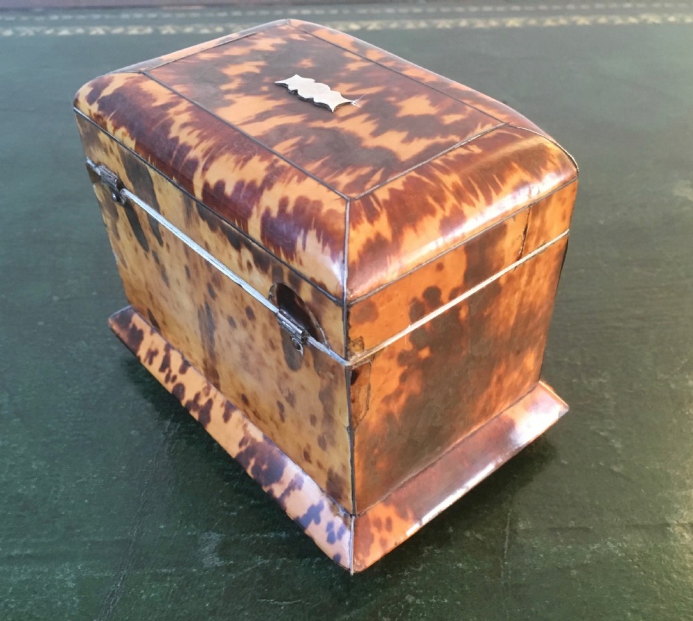 Regency Tortoiseshell & Ivory Tea Caddy View VII