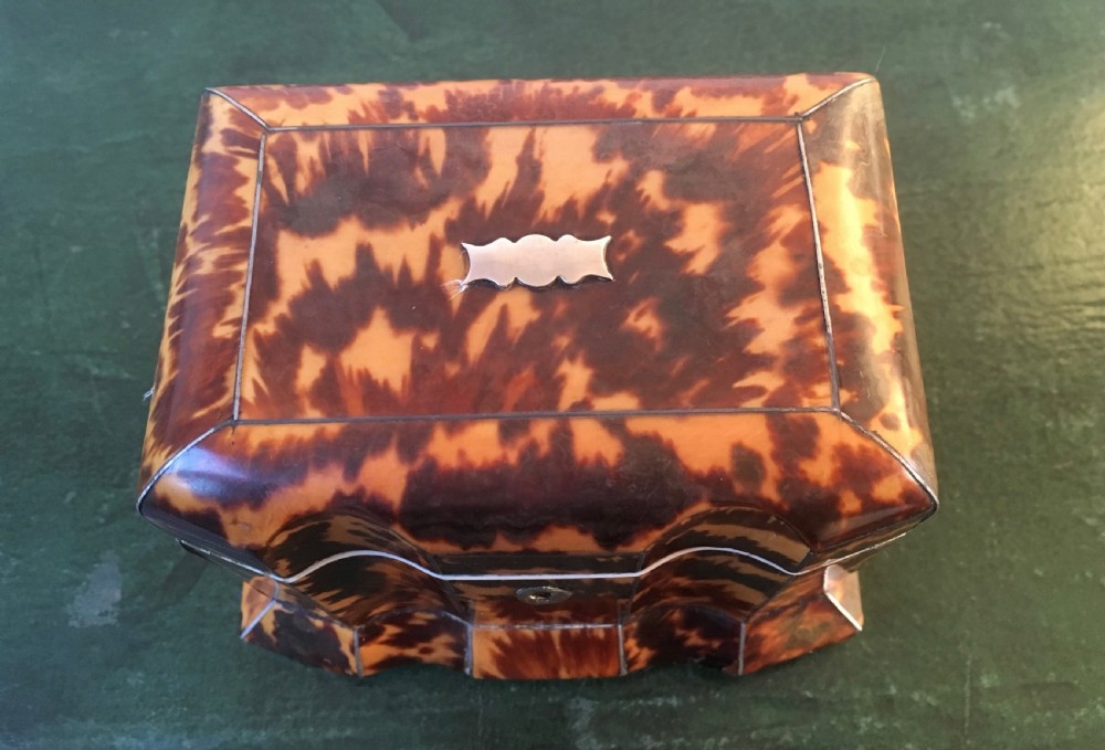Regency Tortoiseshell & Ivory Tea Caddy View IX