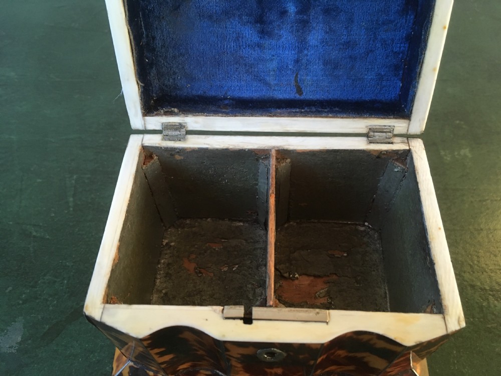 Regency Tortoiseshell & Ivory Tea Caddy View X