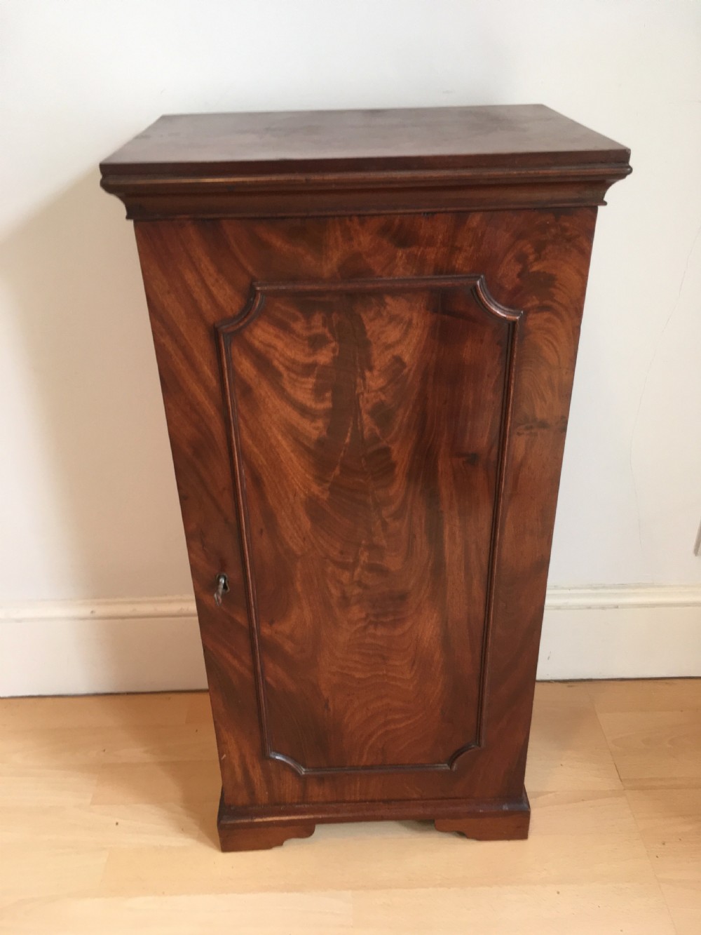 Early 19th Century Pier or Bedside Cabinet