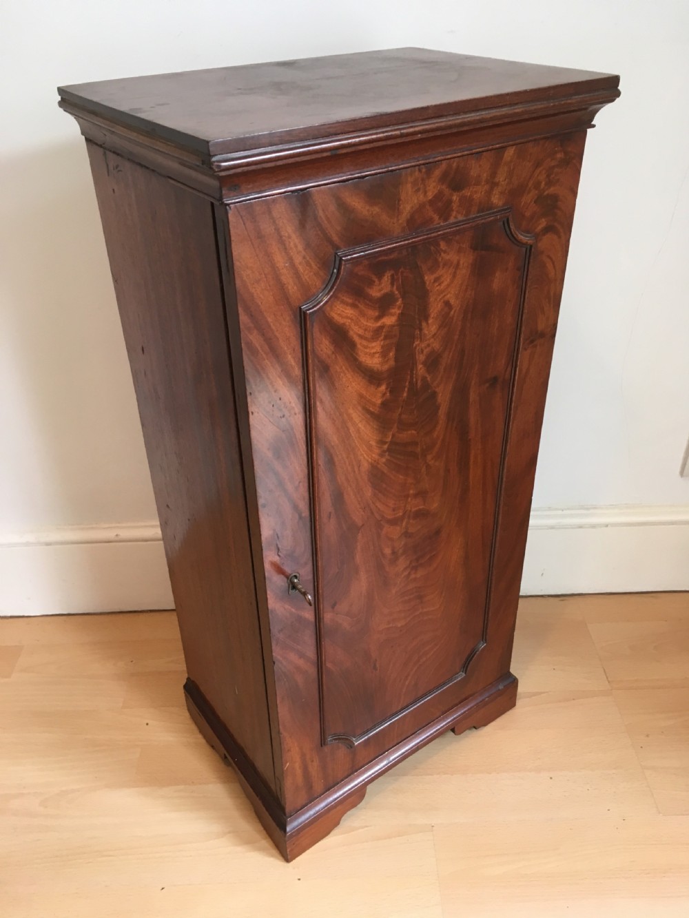 Early 19th Century Pier or Bedside Cabinet View II