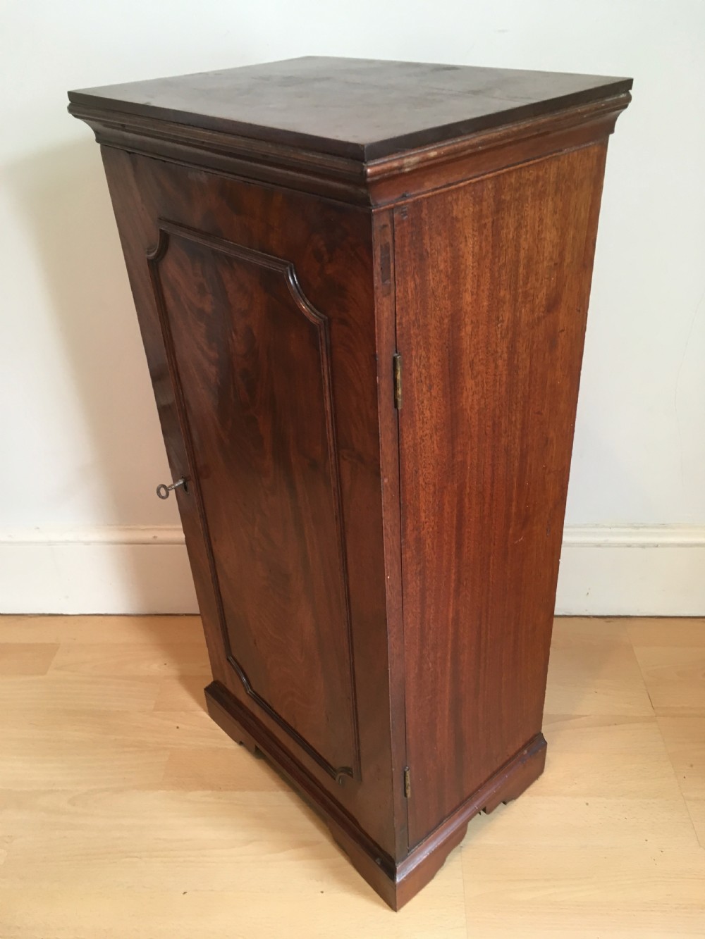 Early 19th Century Pier or Bedside Cabinet View III
