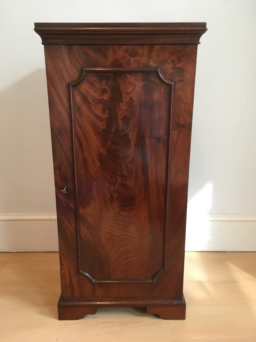 Early 19th Century Pier or Bedside Cabinet View VII