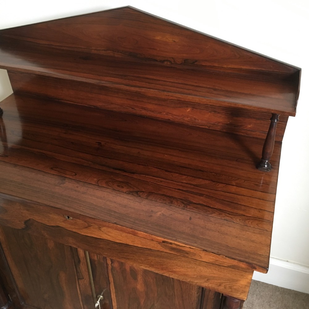 William IV Rosewood Chiffonier View VII