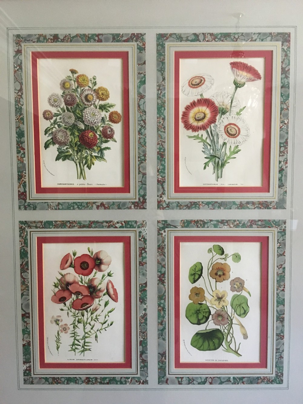 Mid 19th Century Botanical Lithographs  View II