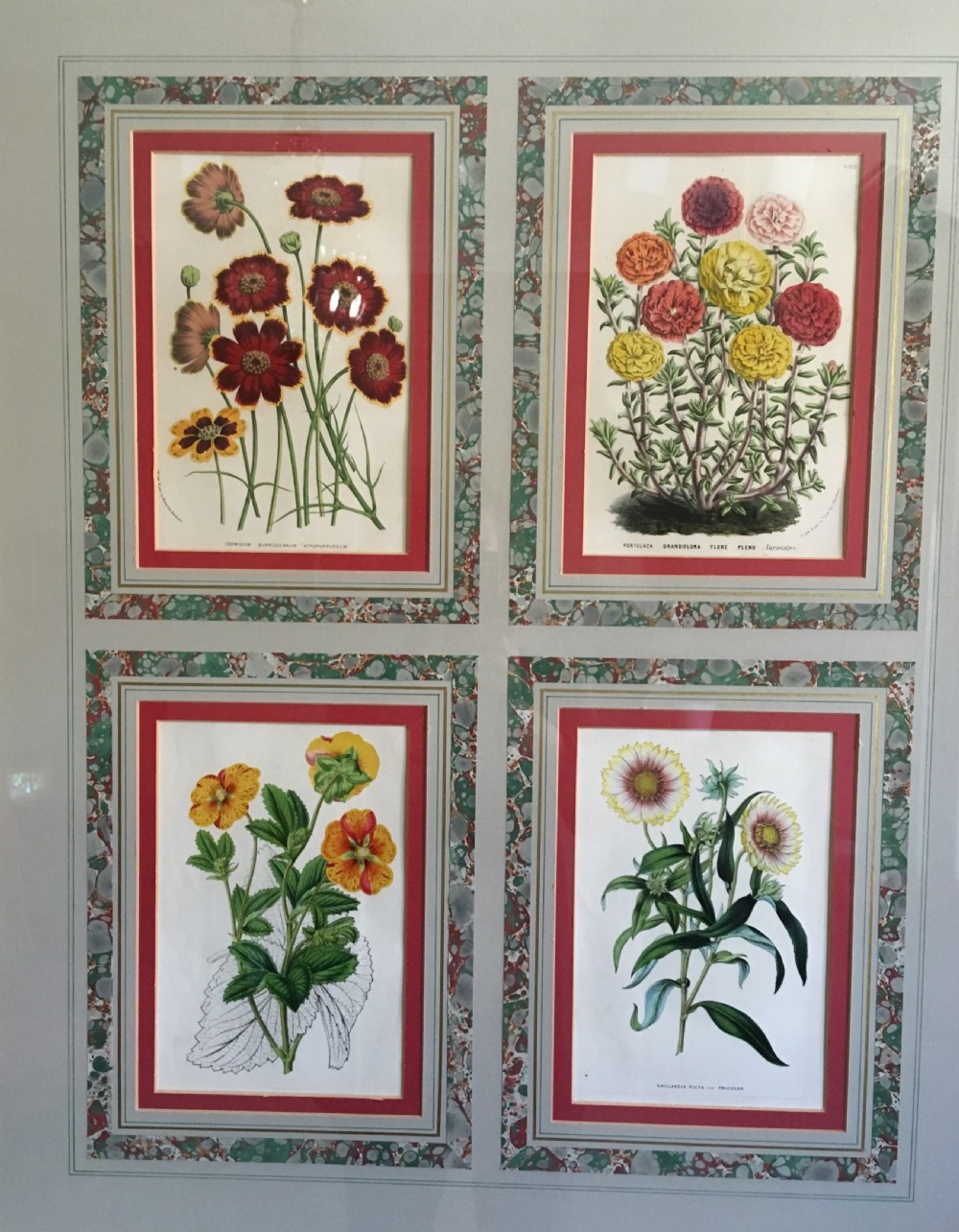 Mid 19th Century Botanical Lithographs  View III