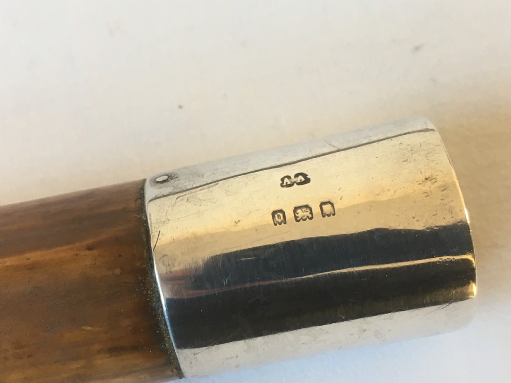 Edwardian Sword Stick with Toledo Blade View IX