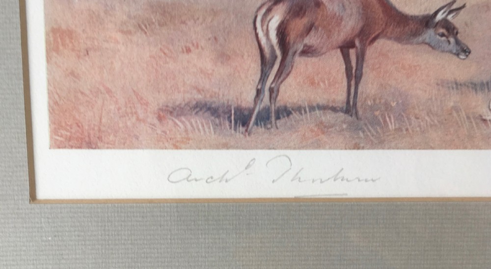 Set of 4 Archibald Thorburn Signed Prints of Deer in a Winter Landscape View VI