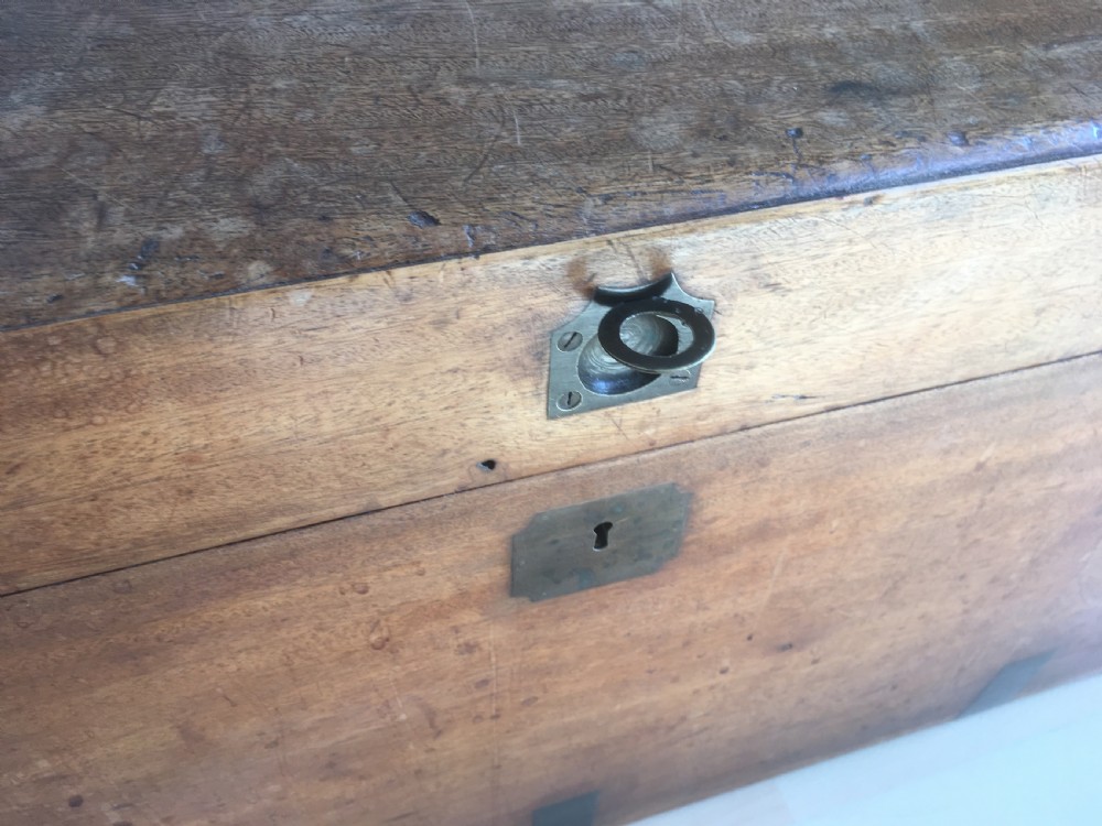 Large Camphor Wood Travelling Trunk Box View VIII
