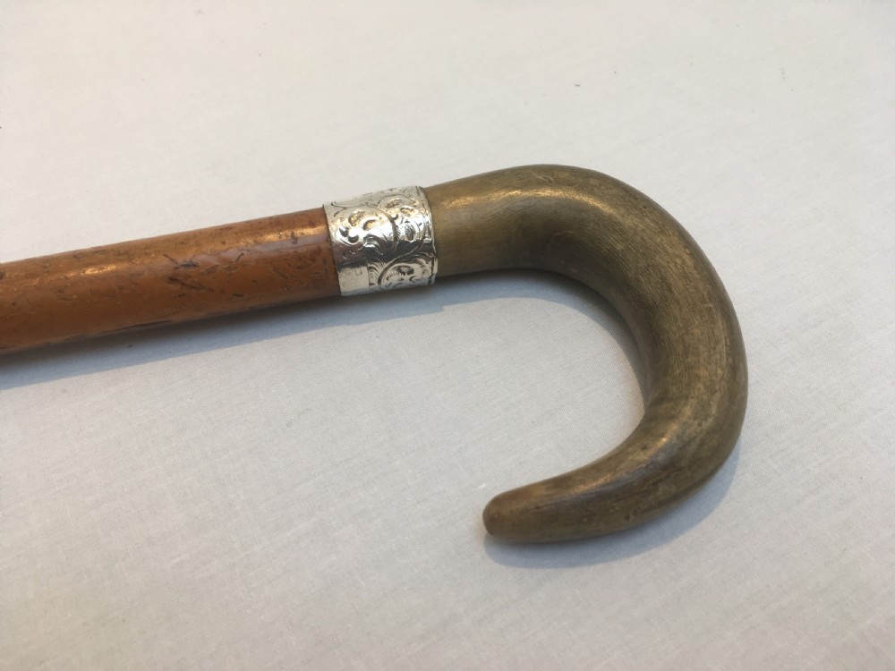 Ram's Horn Handled Sword Stick View IV