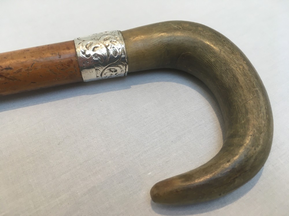 Ram's Horn Handled Sword Stick View V