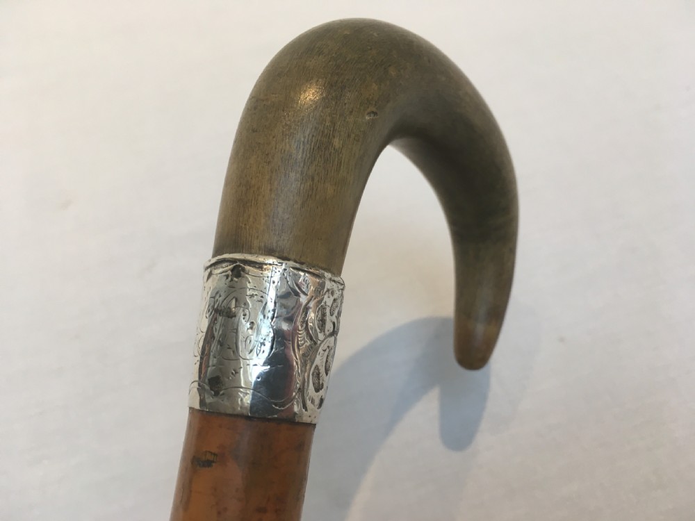 Ram's Horn Handled Sword Stick View VI