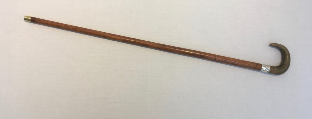 Ram's Horn Handled Sword Stick View XI