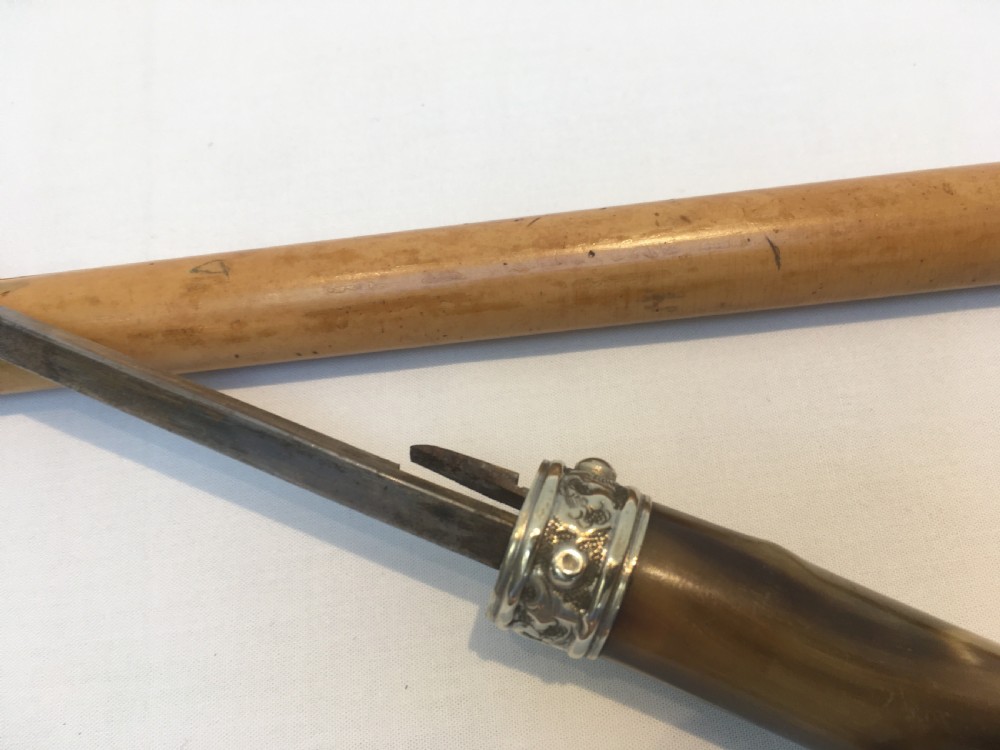 Sword Stick with Stiletto Blade View IX