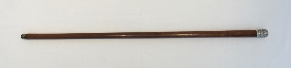 Chinese Silver Topped Sword Stick View XIV