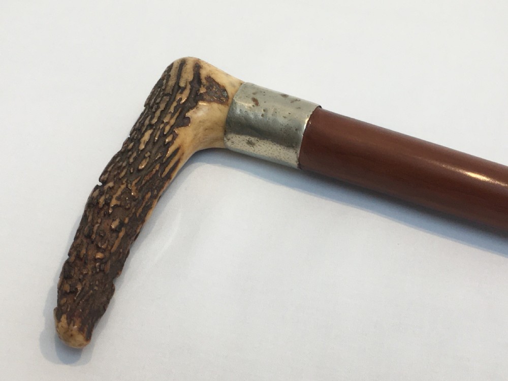 Antler Handled Sword Stick with Toledo Blade View II