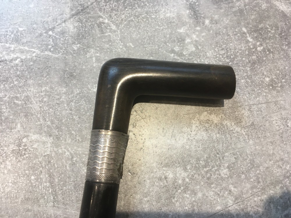 Horn Handled Ebony Walking Stick - Rev John Parry 1814-1894 View III