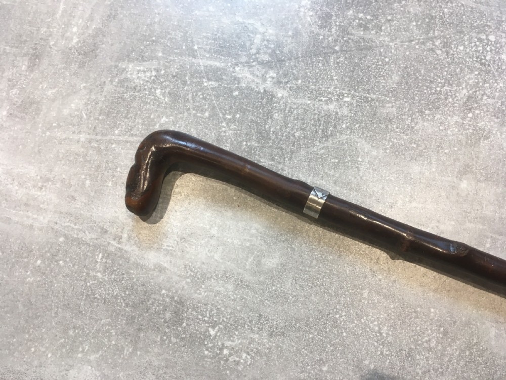 Hawthorn Walking Stick with Silver Collar