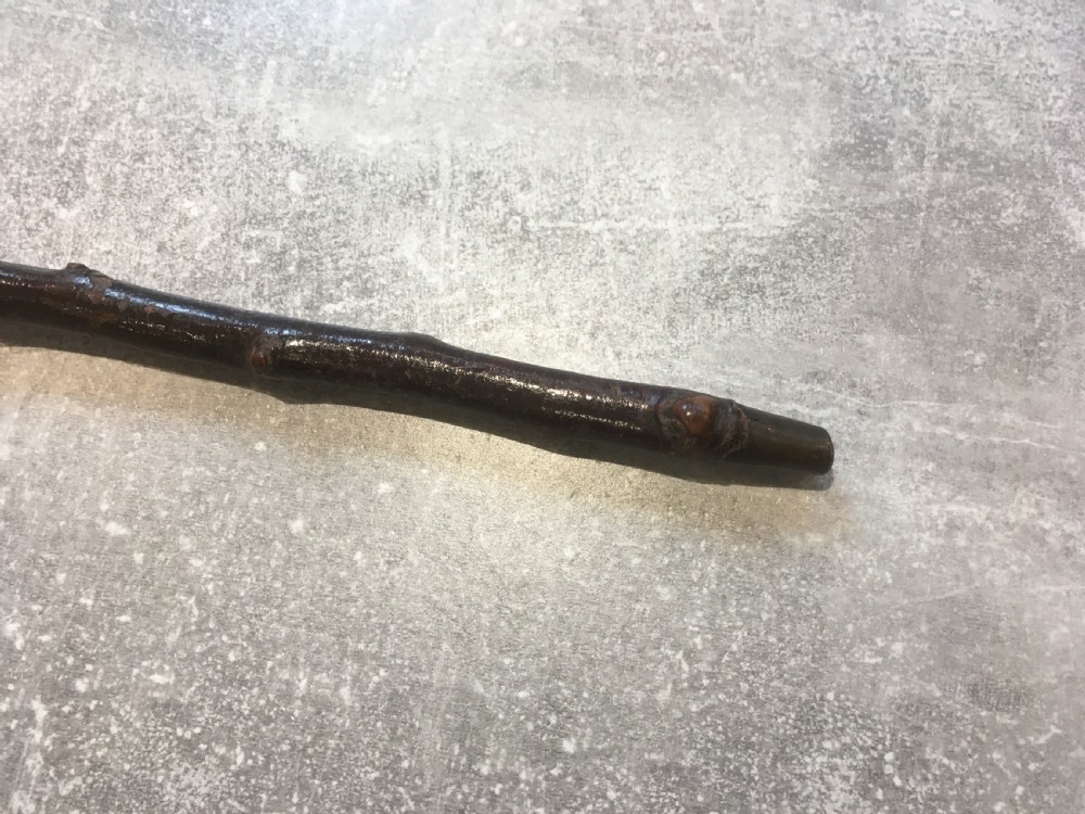 Hawthorn Walking Stick with Silver Collar View II