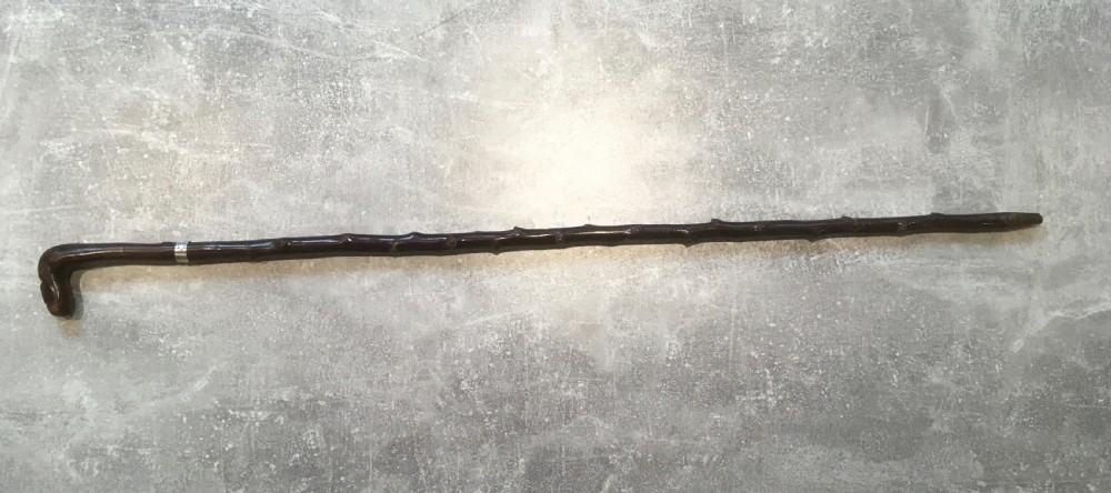 Hawthorn Walking Stick with Silver Collar View III
