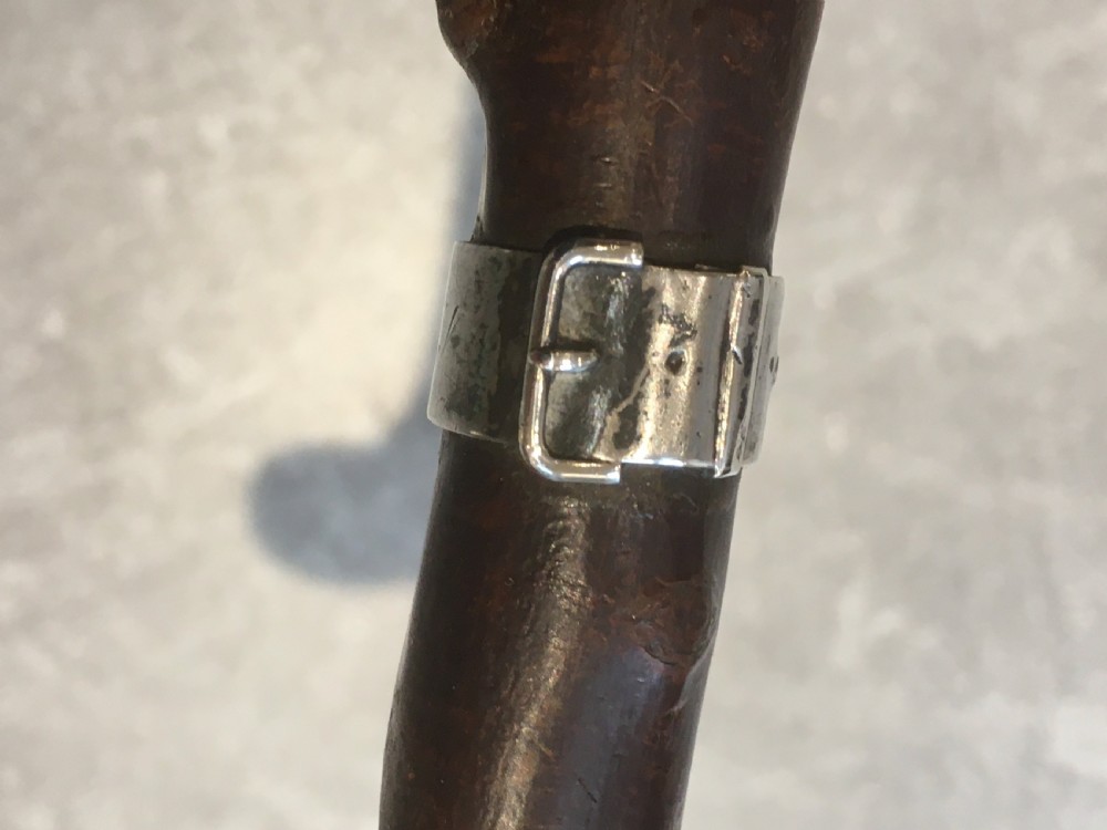 Hawthorn Walking Stick with Silver Collar View IV