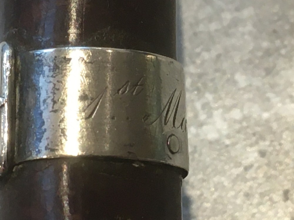 Hawthorn Walking Stick with Silver Collar View V