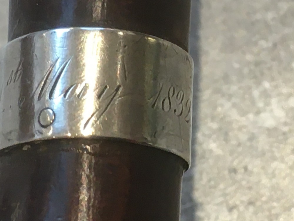 Hawthorn Walking Stick with Silver Collar View VI