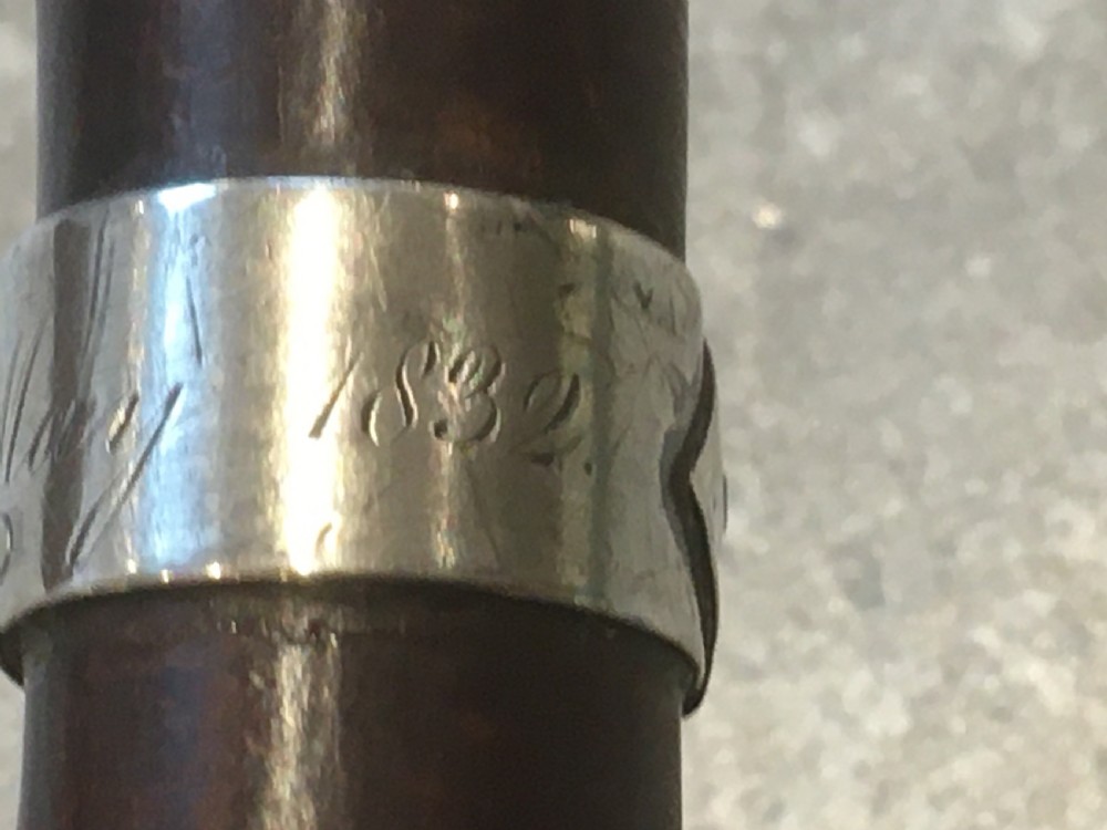 Hawthorn Walking Stick with Silver Collar View VII