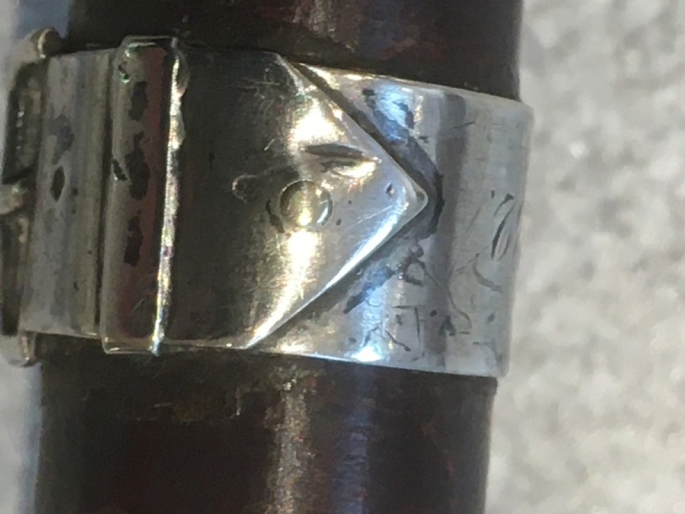 Hawthorn Walking Stick with Silver Collar View VIII