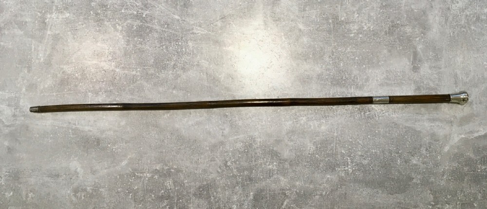 Palmwood Sword Stick Birmingham 1876 View II
