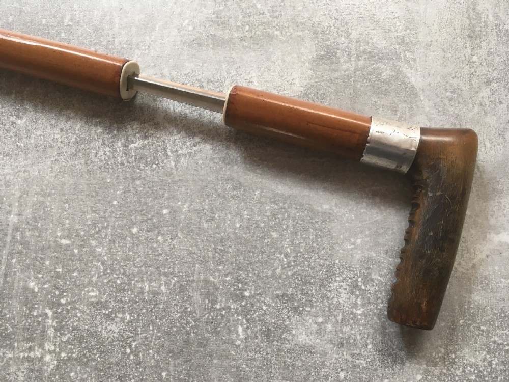 19th Century Malacca Sword Stick with Shaped Horn Handle View V