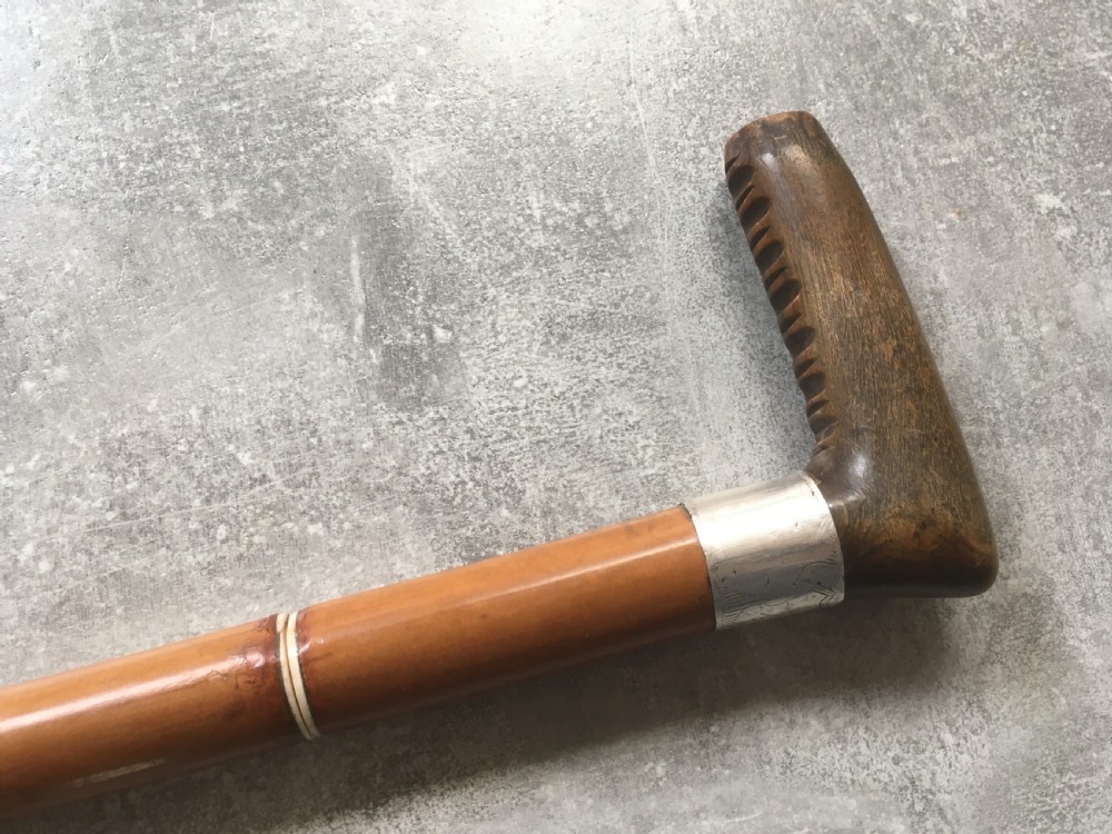 19th Century Malacca Sword Stick with Shaped Horn Handle View XIV