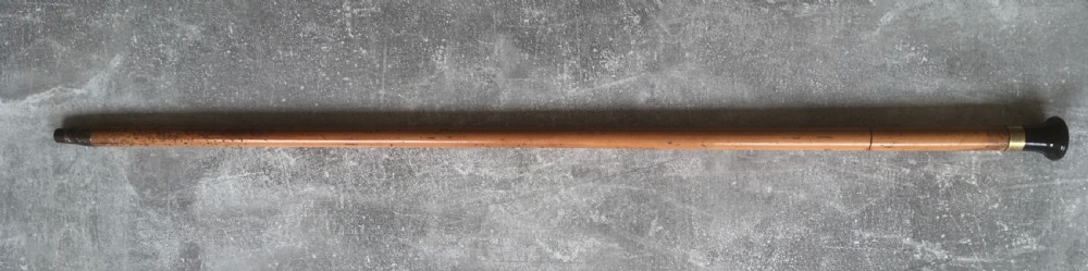 Early 20th Century Malacca Sword Stick View III