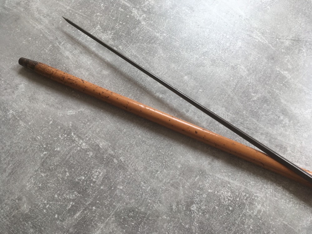 Early 20th Century Malacca Sword Stick View VI