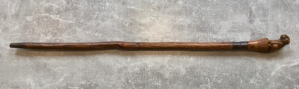 Oak Sword Stick with Carved Puma Handle View II