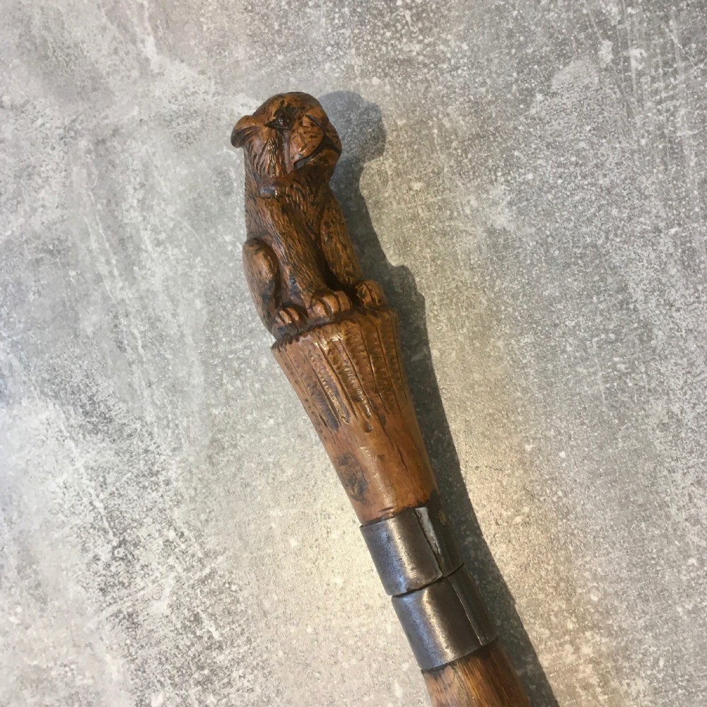 Oak Sword Stick with Carved Puma Handle View XV