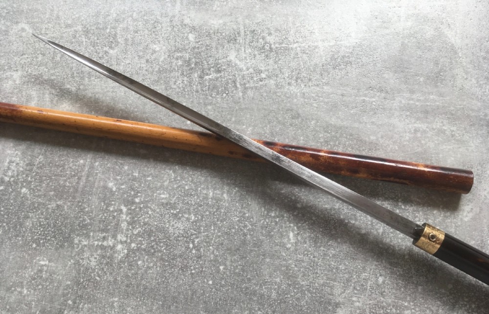 French Faux Tortoiseshell & Malacca Sword Stick View IV
