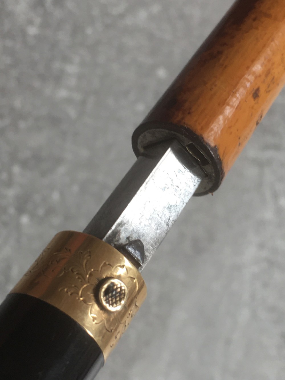 French Faux Tortoiseshell & Malacca Sword Stick View V